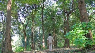 female forest guard tortured by forest officers