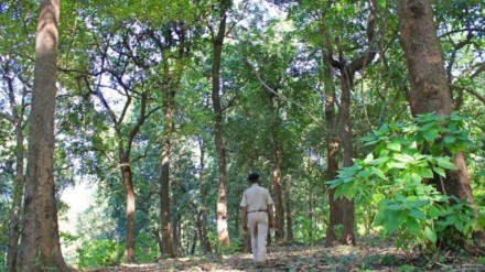 female forest guard tortured by forest officers