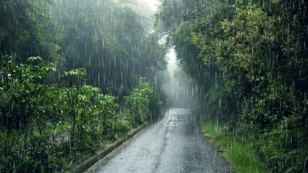 Maharashtra rain latest marathi news