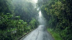 Maharashtra Rain Alert : कोकणासह राज्यातील ‘या’ भागात आज अतिमुसळधार पावसाचा इशारा