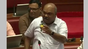 anil parab lemon chilli