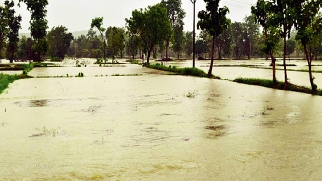 Heavy rains in Western Ghats trigger dam discharges Krishna river water level rises in Sangli