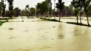 Heavy rains in Western Ghats trigger dam discharges Krishna river water level rises in Sangli