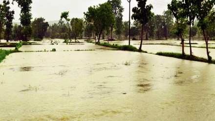 Heavy rains in Western Ghats trigger dam discharges Krishna river water level rises in Sangli