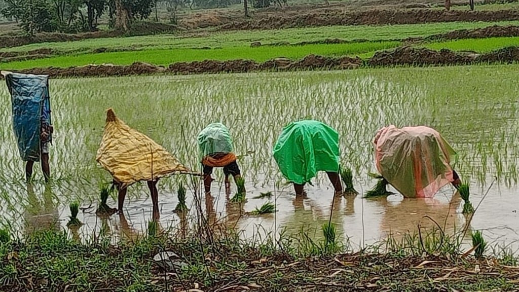 maharashtra farmer id agristack scheme registration digital farmer identity updates