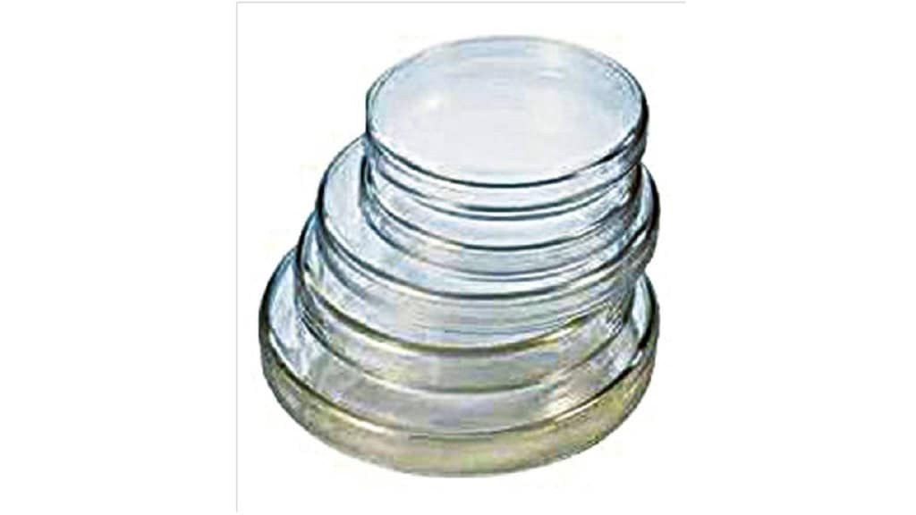 Petri dish loksatta article