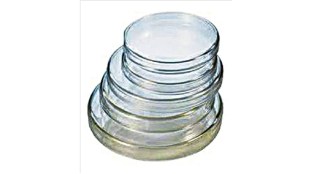 Petri dish loksatta article