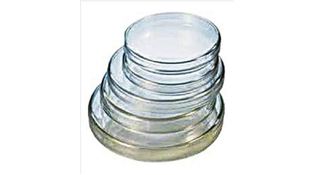 Petri dish loksatta article