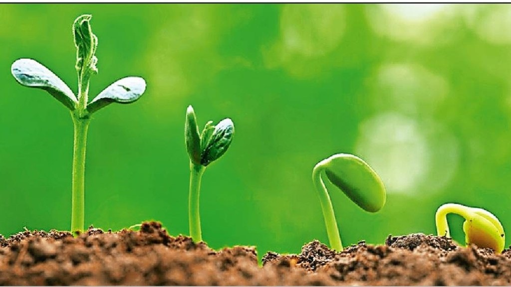 agriculture career loksatta article