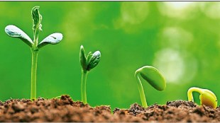 agriculture career loksatta article