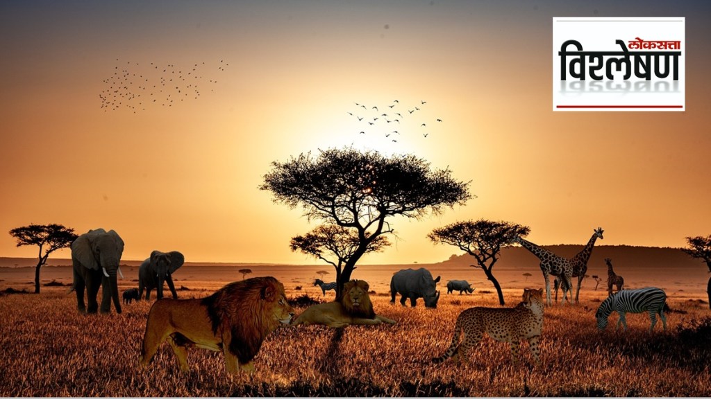 African safari project Nagpur
