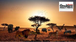 African safari project Nagpur