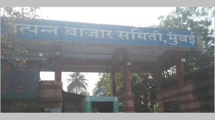 navi mumbai apmc