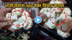 महिलांनो पावसाळ्यात भाजी खरेदी करताना सावधान! फ्लॉवरच्या भाजीत जे सापडलं ते पाहून डोळ्यांवर विश्वास बसणार नाही, VIDEO होतोय व्हायरल