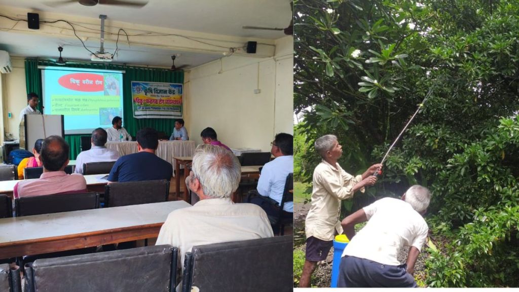 chikoo fruit pest control blue light for  insect traps chikoo farming palghar Maharashtra