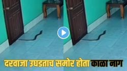 बापरे! घरातील दरवाज्यासमोर बसलेला होता काळा नाग, चिमुकलीने दरवाजा उघडताच फणा फडफडवत उभा राहिला अन्…Video पाहून अडकेल श्वास!