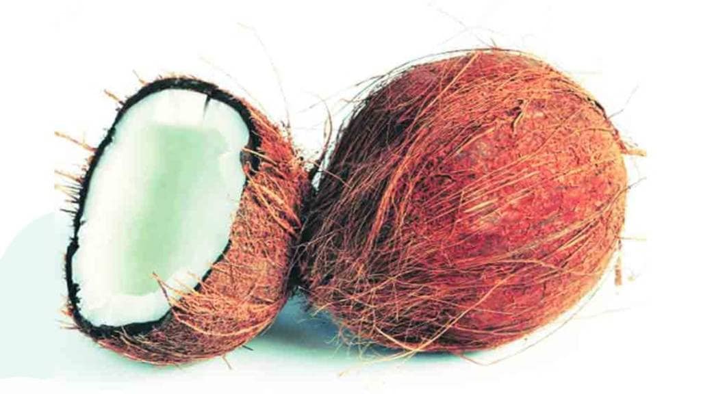 As Chaturmas begins, coconut prices increased