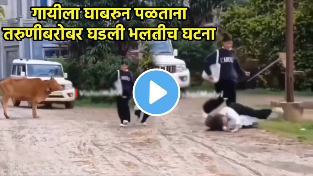 cow girl funny video viral