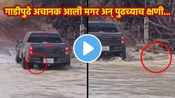 बापरे! पूरग्रस्त रस्त्यात गाडीपुढे अचानक आली महाकाय मगर; पुढे काय झालं? VIDEO पाहून अंगावर येईल काटा