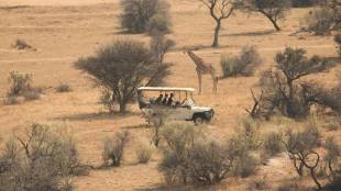 The Forest Department has submitted the development plan for the grassland safari project at Kadbanwadi and Shirsufal to the district administration