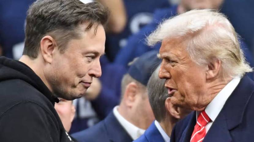elon musk donald trump