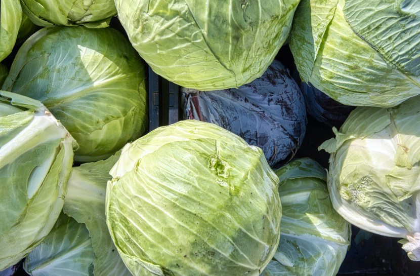 Vegetables to avoid during monsoon | stomach infection in monsoon