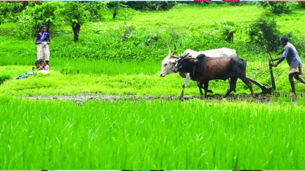 Union Cabinet approves annual agriculture scheme worth Rs 24000 crore