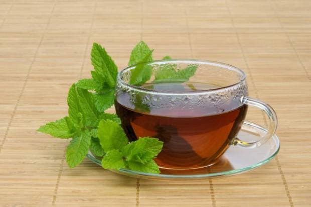 June Tea : मध आणि चहाच्या हिरव्या पानांपासून बनवलेला एक सौम्य प्रकारचा कोम्बुचा संवेदनशील पोटासाठी चांगला मानला जातो. (छायाचित्र स्रोत: कॅनव्हा)