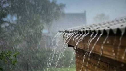 The Meteorological Department has forecast heavy rains The Meteorological Department has forecast heavy rains