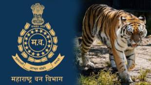 The Forest Department had to pay a huge amount of Rs 220 crore for human-wildlife conflict.