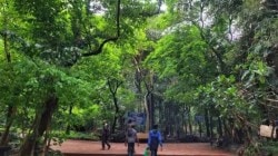 आठवड्याची मुलाखत: मोकळ्या श्वासासाठी ठिकठिकाणी ‘ऑक्सिजन पार्क’ हवेत!