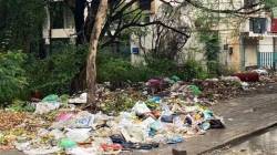 सकाळीच कचरा उचलला होता, कोणी दिले आयुक्तांनाच खोटे उत्तर