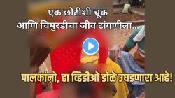 “पैसे पुन्हा कमावता येतील, पण लेकरु नाही”, क्षणात खेळ बदलला अन् चिमुरडीबरोबर काय घडलं पाहा, पालकांनो, ‘हा’ Video पाहून हादराल!