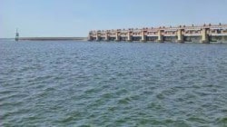 तेलंगणातील पोचमपाड धरणात बाभळीतून १० दलघमी पाणी