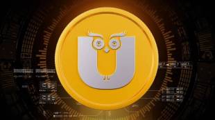 govt bans altt ullu bigshots like 25 ott apps for bold contents