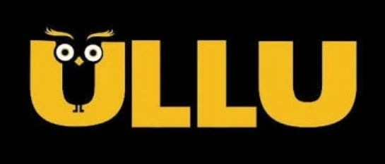 govt bans altt ullu bigshots like 25 ott apps for bold contents