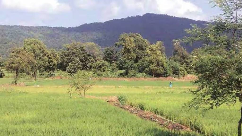 state government  refused to allow  municipal administration establish new town on the green belt Mahape Sheel border in Navi Mumbai