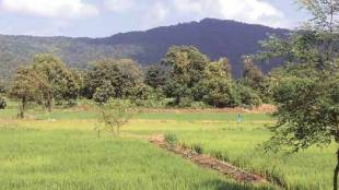 state government refused to allow municipal administration establish new town on the green belt Mahape Sheel border in Navi Mumbai