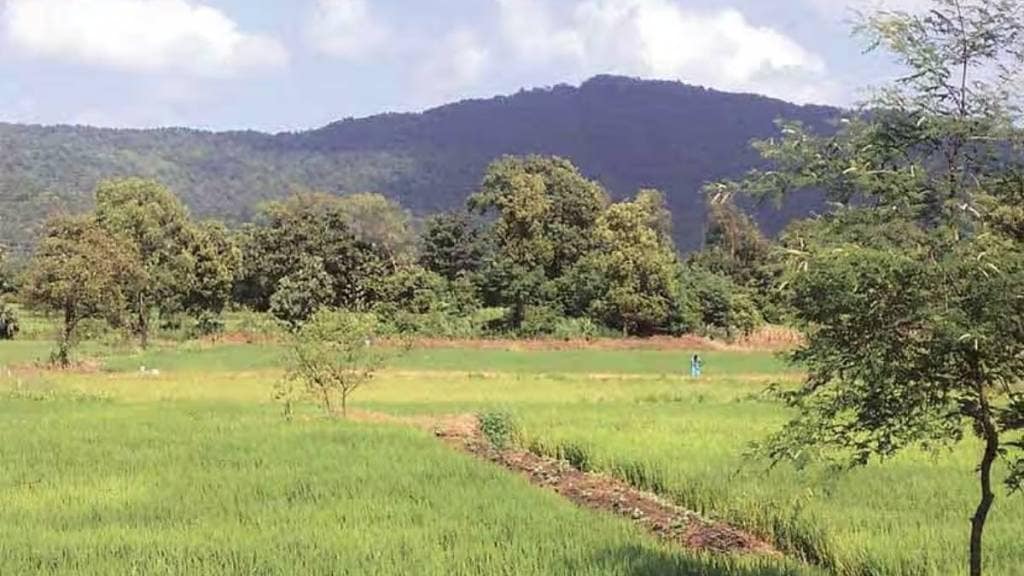 NMMC decision to develop green belt