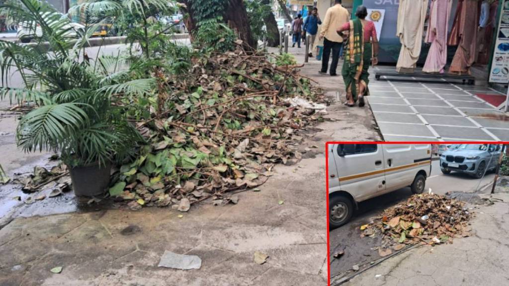 Citizens are troubled by green waste on the sidewalks in thane