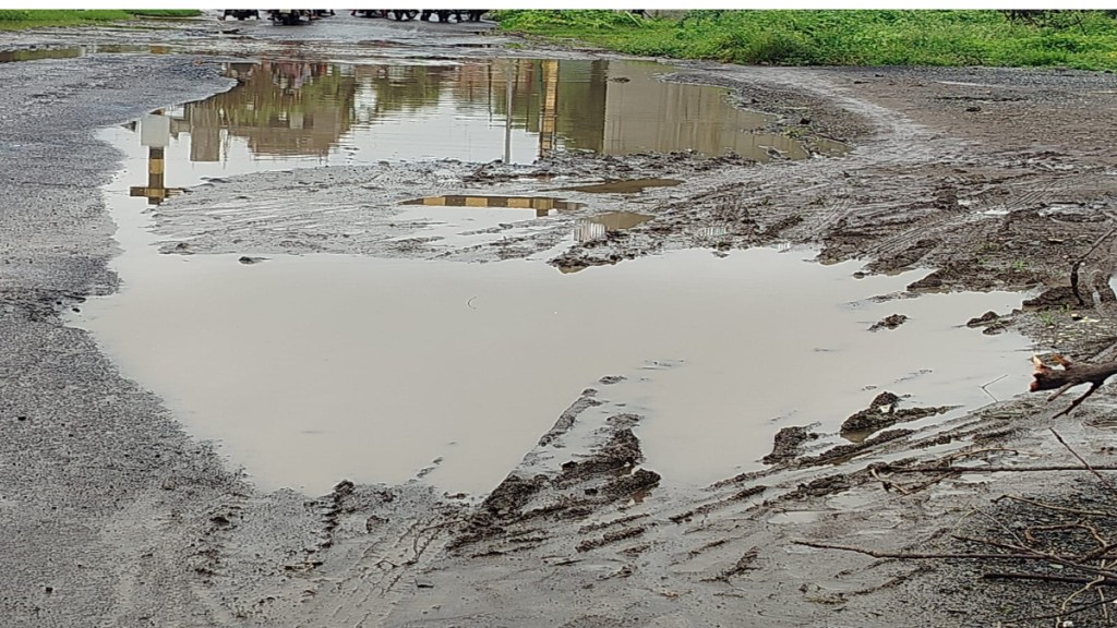 heavy rainfall in Akola and Washim districts