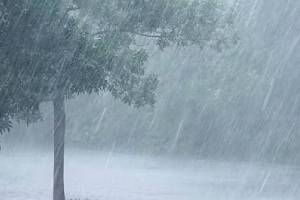 The Meteorological Department has forecast heavy rains in Konkan and Ghat areas