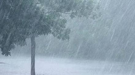 Meteorologists stress need for more accurate timely short-term forecasts in cities