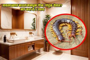 how to kill centipedes fast in home permanently