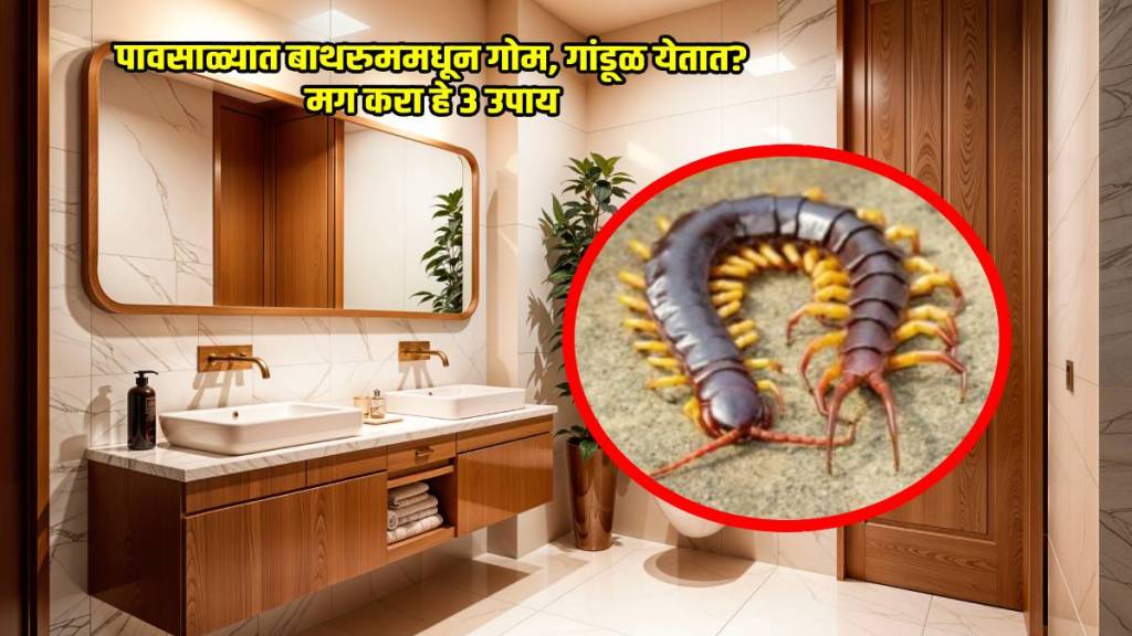 how to kill centipedes fast in home permanently