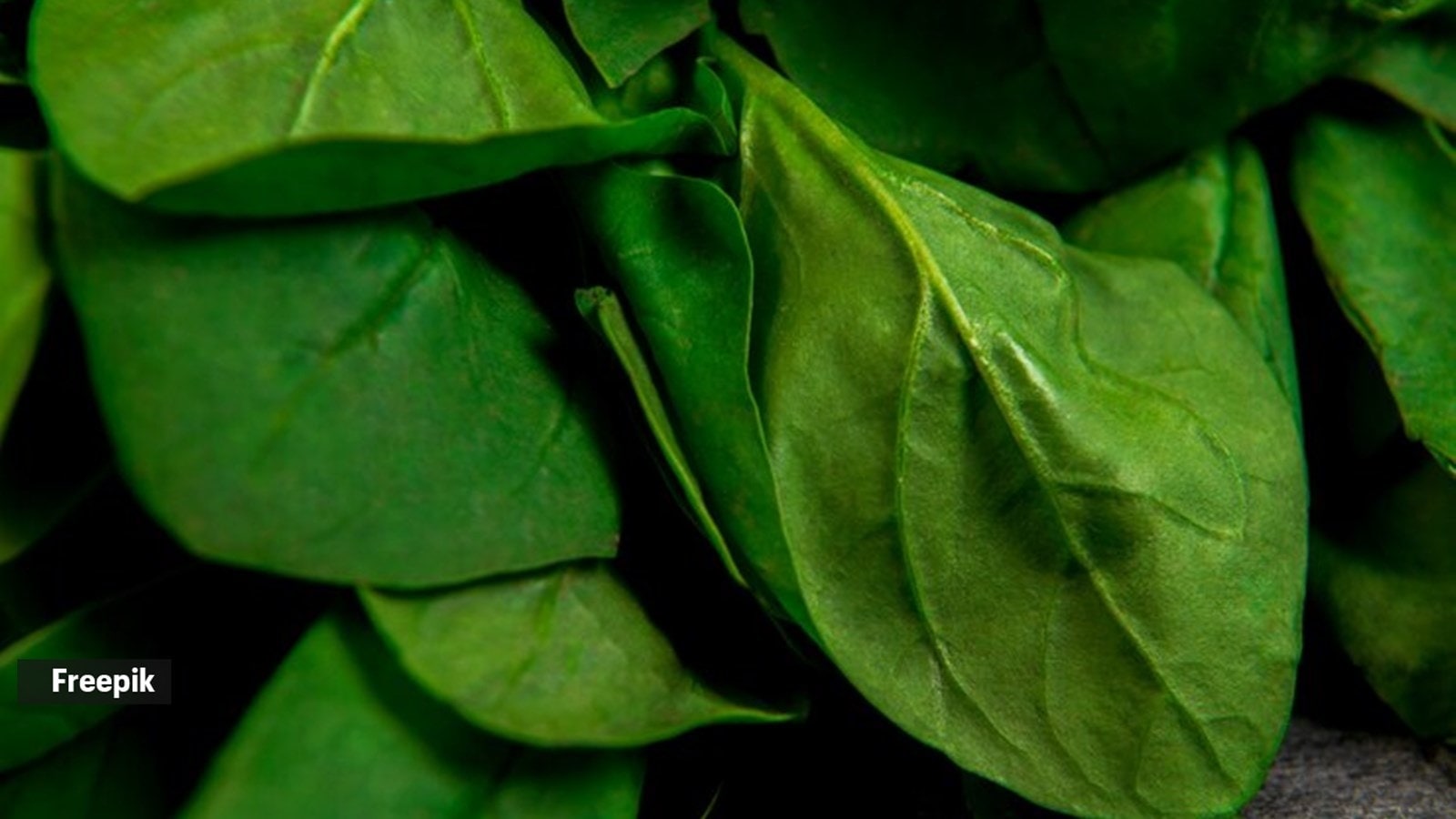 Avoid these vegetables during monsoon