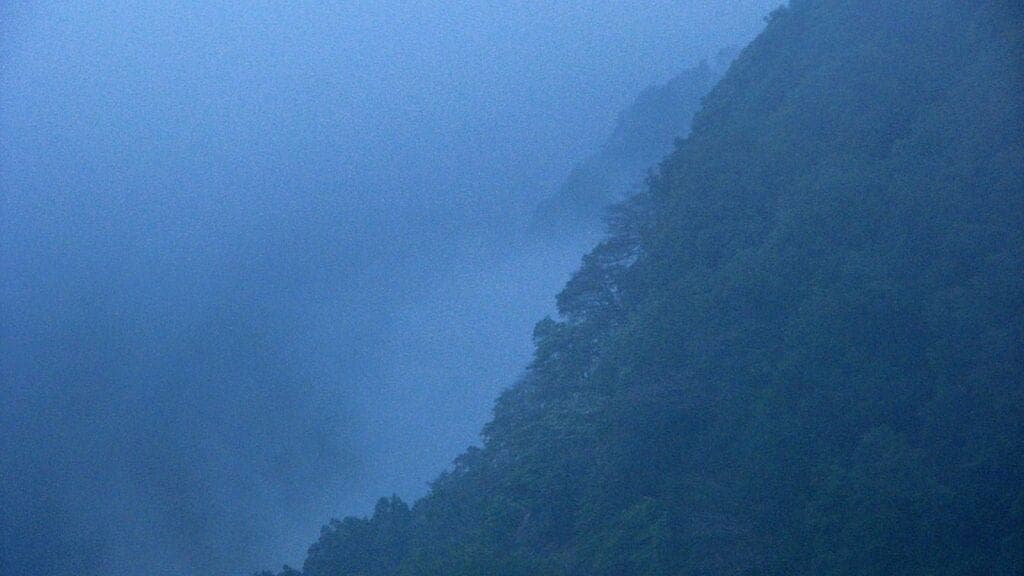 Snake Capital of India, Agumbe