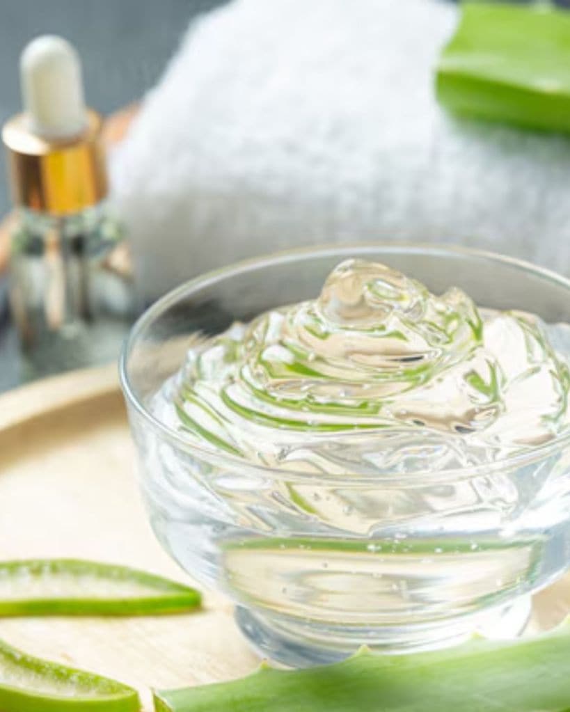 Aloe Vera