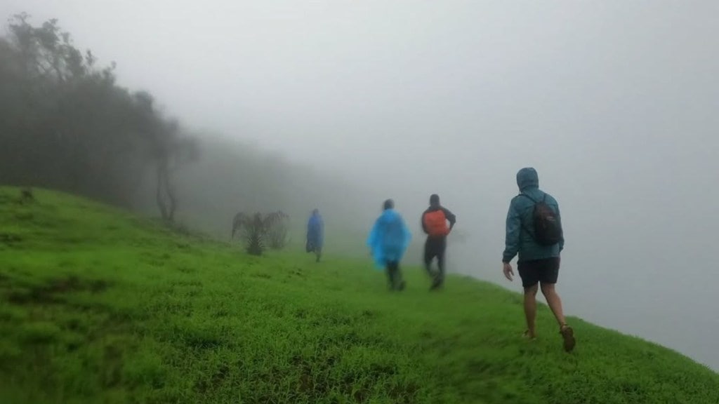 पावसाळ्यात वरून कोसळणारे धबधबे, हिरवागार परिसर आणि थंड हवा यांनी मन प्रसन्न होते. अशा या आल्हाददायी पावसाळी वातावरणात 'ही' ठिकाणं भेट देण्यासाठी उत्तम आहेत.