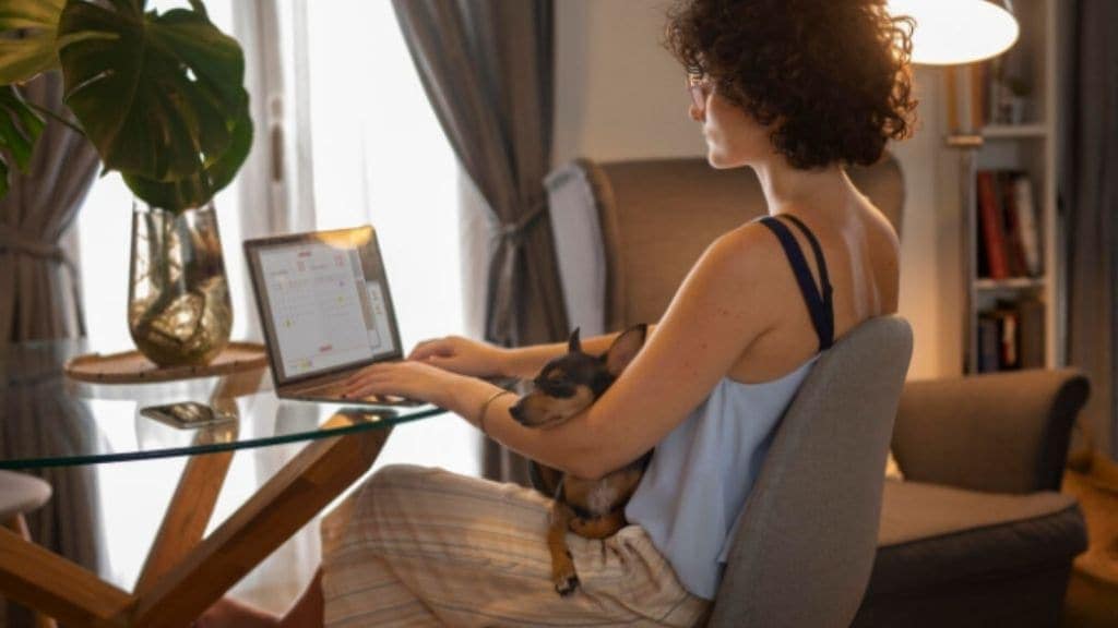 Work From Home Jobs for American companies
